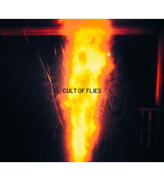 CULT OF FLIES Steam Key GLOBAL